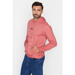 Trendyol Dried Rose Men's Regular/Regular Cut, Old-fashioned/Faded-effect Sweatshirt