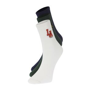 Trendyol Multicolored 3 Pack Cotton City Embroidered College-Tennis-Medium Size Socks
