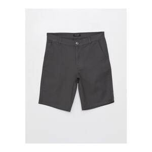 LC Waikiki Men's Standard Fit Bermuda Shorts