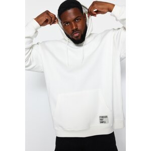Trendyol Ecru Men's Plus Size Basic Comfort Hooded Labeled Fleece Inner Cotton Sweatshirt