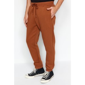 Trendyol Men's Brown Men's Regular/Normal Fit Fleece Inner Letter Embroidered Sweatpants