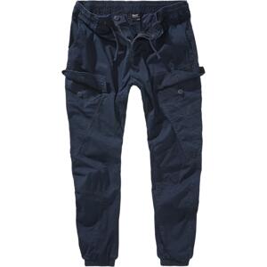 Ray Vintage Navy Pants