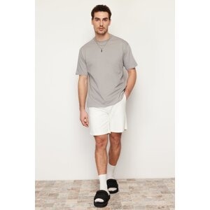 Trendyol Gray Relaxed Basic 100% Cotton T-Shirt
