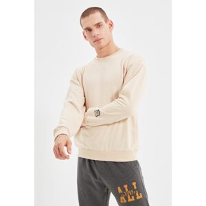 Trendyol Stone Men's Regular/Normal Cut Sweatshirt