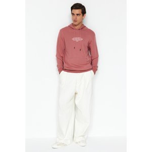 Trendyol Pale Pink Men's Regular/Normal Fit Text Printed Hooded Sweatshirt