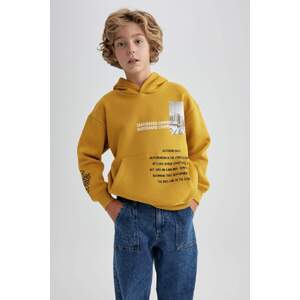 DEFACTO Oversize Fit Hooded Sweatshirt