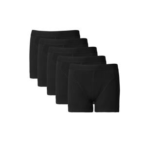 AC&Co / Altınyıldız Classics Men's Black 5-Pack Cotton Flexible Boxer