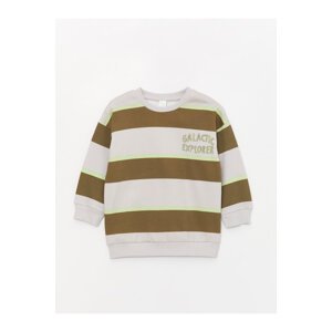 LC Waikiki Crew Neck Long Sleeve Striped Baby Boy Sweatshirt