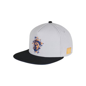 C&S WL NY NY Snapback Grey/MC