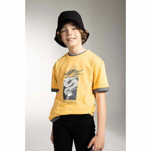 DEFACTO Boy Oversize Fit Crew Neck Printed Short Sleeve T-Shirt