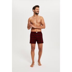 Men's boxer shorts Zeman - print