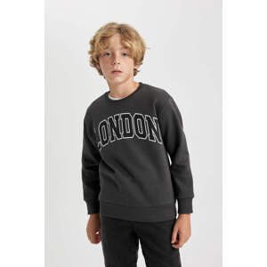 DEFACTO Regular Fit Crew Neck Sweatshirt