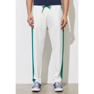 AC&Co / Altınyıldız Classics Men's Ecru Standard Fit Normal Cut Pocket Cotton Comfort Sweatpants