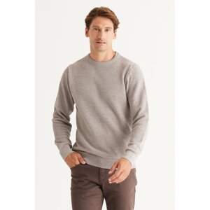 AC&Co / Altınyıldız Classics Men's Bronze-gray Recycle Standard Fit Regular Fit Crew Neck Patterned Knitwear Sweater