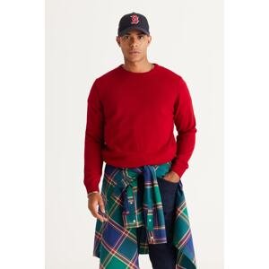 ALTINYILDIZ CLASSICS Men's Red Standard Fit Normal Cut Crew Neck Knitwear Sweater