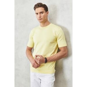 ALTINYILDIZ CLASSICS Men's Light Yellow Standard Fit Regular Fit Crew Neck Plain Knitwear T-Shirt