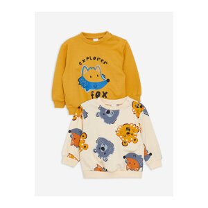 LC Waikiki Crew Neck Long Sleeve Printed Baby Boy Sweatshirt 2-Pack