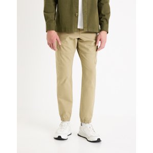 Celio Pants slim cargo Dolyte - Men