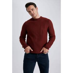 DEFACTO Standard Fit Crew Neck Knitwear Pullover