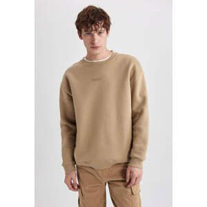 DEFACTO Boxy Fit Long Sleeve Sweatshirt