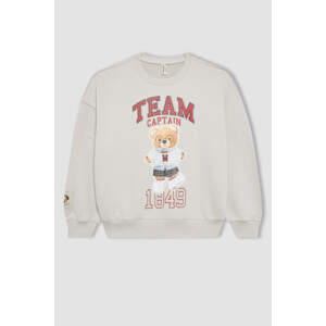 DEFACTO Regular Fit Crew Neck Sweatshirt