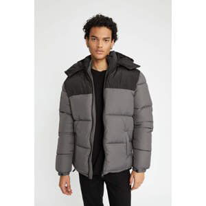 DEFACTO Regular Fit Fleece Lined Puffer Jacket