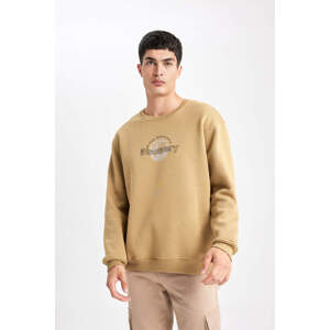 DEFACTO Oversize Fit Discovery Licensed Long Sleeve Sweatshirt