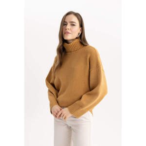 DEFACTO Oversize Fit Turtleneck Tunic