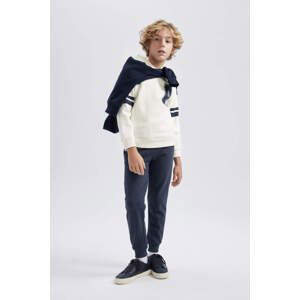 DEFACTO Boy Printed Sweatshirt and Sweatpants 2 Piece Set