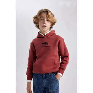 DEFACTO Boy Hooded Printed Thick Sweatshirt
