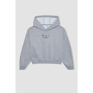 DEFACTO Oversize Fit Hooded Sweatshirt