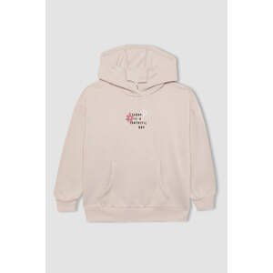 DEFACTO Oversize Fit Hooded Sweatshirt