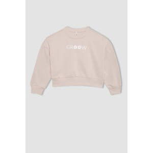 DEFACTO Relax Fit Crew Neck Sweatshirt