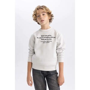 DEFACTO Boy Printed Crew Neck Thick Sweatshirt