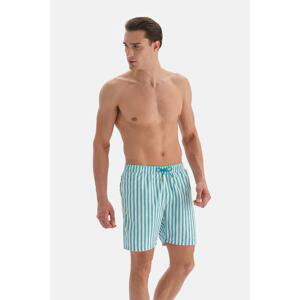 Dagi Green-White Striped Medium Shorts