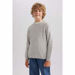 DEFACTO Boy Regular Fit Crew Neck Pullover