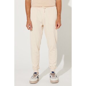 ALTINYILDIZ CLASSICS Men's Beige Standard Fit Normal Cut 100% Cotton Pocket Comfortable Sweatpants