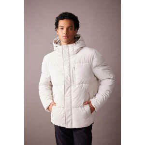 DEFACTO Regular Fit Puffer Jacket