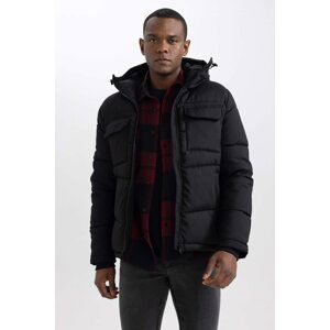 DEFACTO Slim Fit Hooded Puffer Jacket