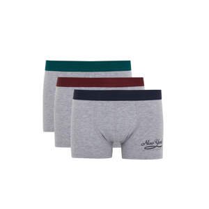 DEFACTO 3 piece Regular Fit Knitted Boxer