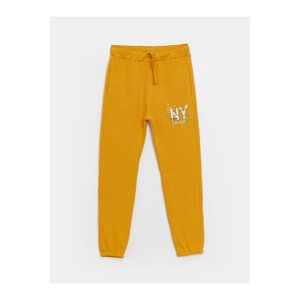 LC Waikiki Boys' Elastic Waist Printed Jogger Sweatpants