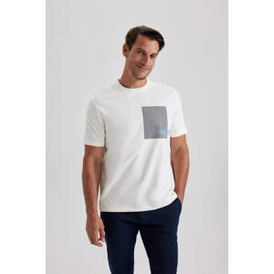 DEFACTO Regular Fit Crew Neck T-Shirt