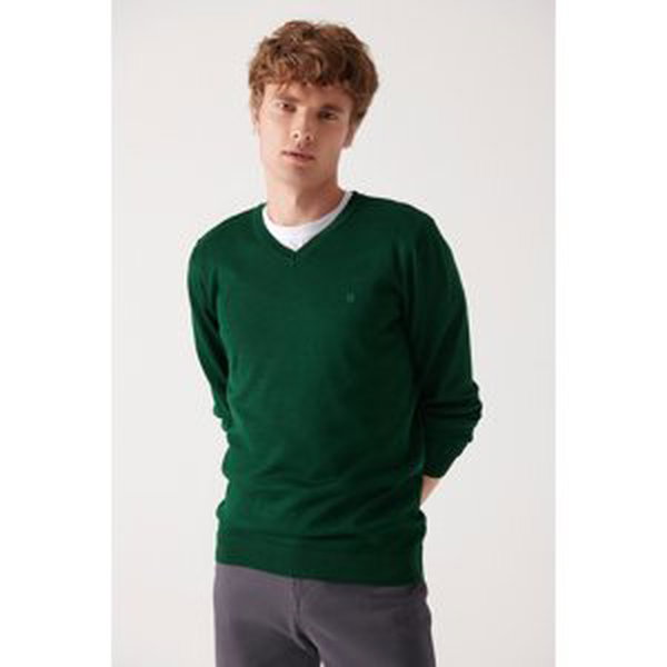 Avva Men's Green V-Neck Wool Blend Standard Fit Regular Cut Knitwear Sweater