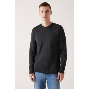 Avva Men's Anthracite Crew Neck Wool Regular Fit Sweater