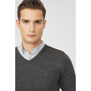 Avva Men's Anthracite Knitwear Sweater V-Neck Non-Pilling Regular Fit