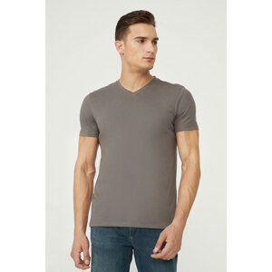 Avva Men's Anthracite 100% Cotton V Neck Regular Fit T-shirt