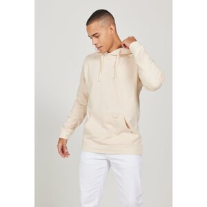ALTINYILDIZ CLASSICS Men's Beige 100% Cotton Standard Fit Regular Fit Hooded Long Sleeve Sweatshirt