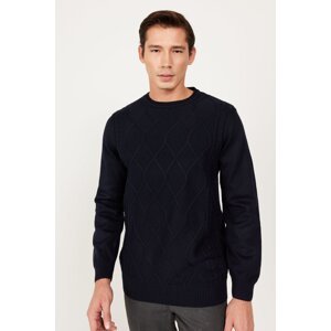 ALTINYILDIZ CLASSICS Men's Navy Blue Standard Fit Normal Cut Crew Neck Raised Soft Textured Knitwear Sweater