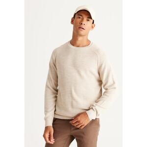 AC&Co / Altınyıldız Classics Men's Stone Standard Fit Regular Cut Crew Neck Patterned Knitwear Sweater