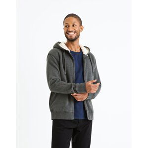 Celio Insulated Sweatshirt Fesherpax - Men's